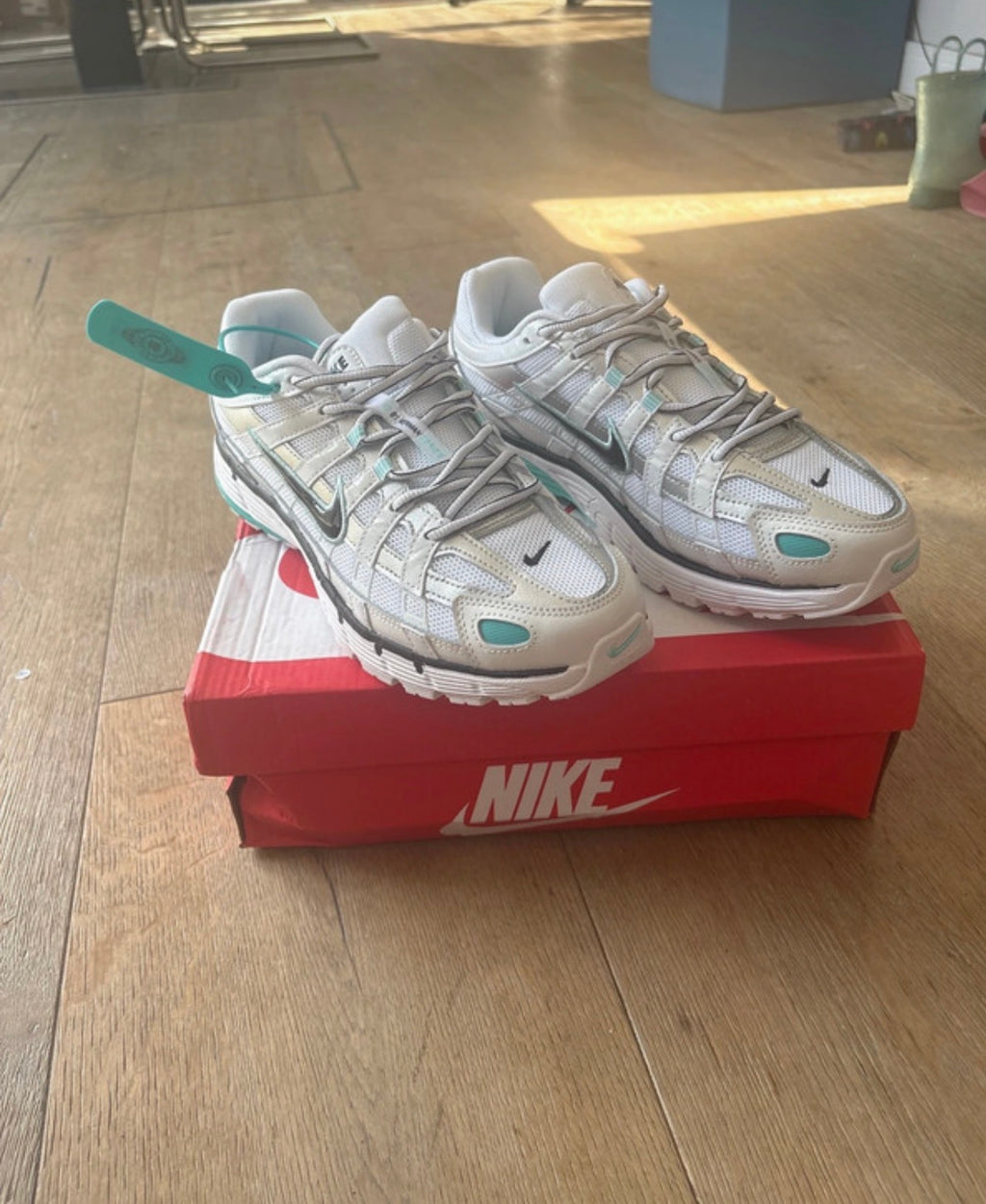 P6000s