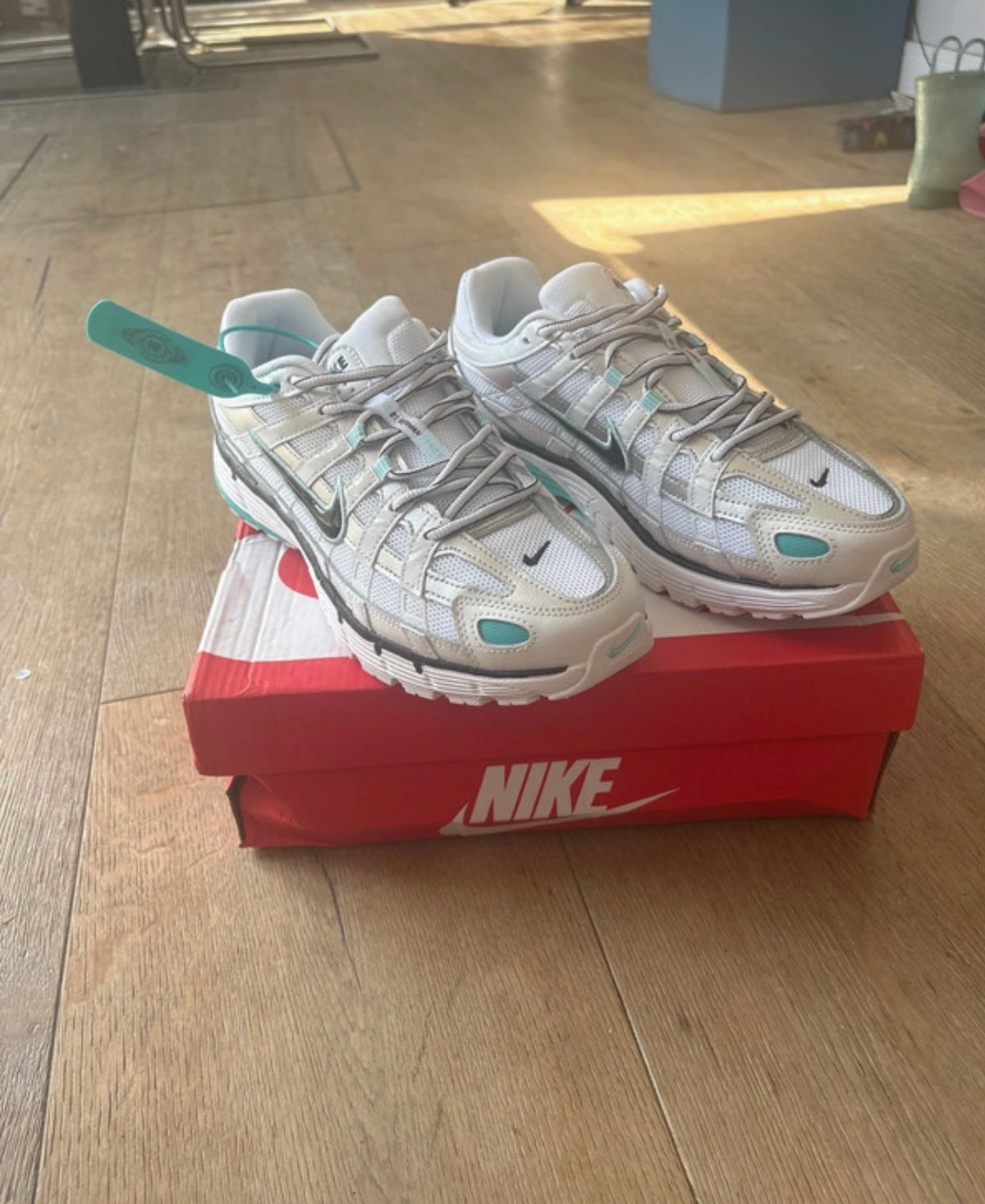 P6000s