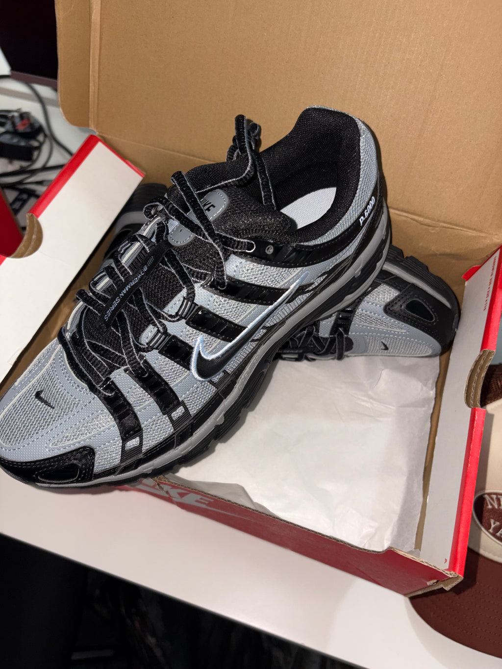 P6000s