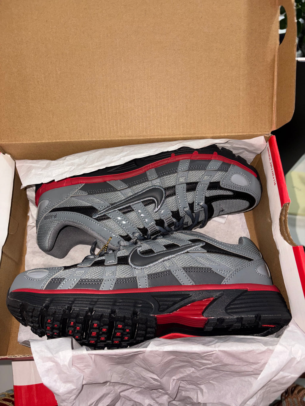 P6000s