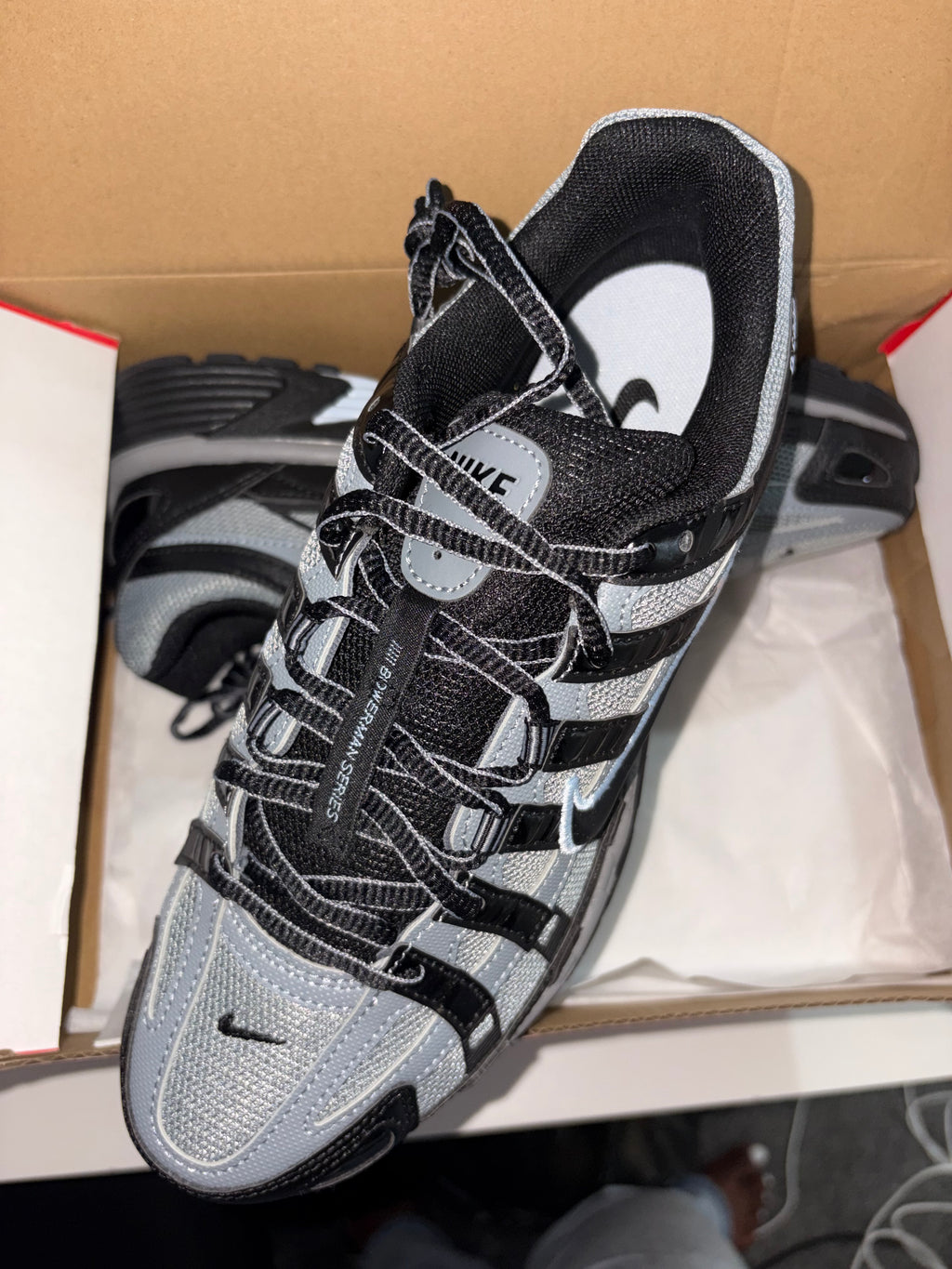 P6000s